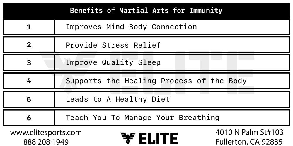 6 Ways Martial Arts Improve Your Immune System