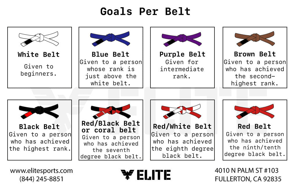 Belt System