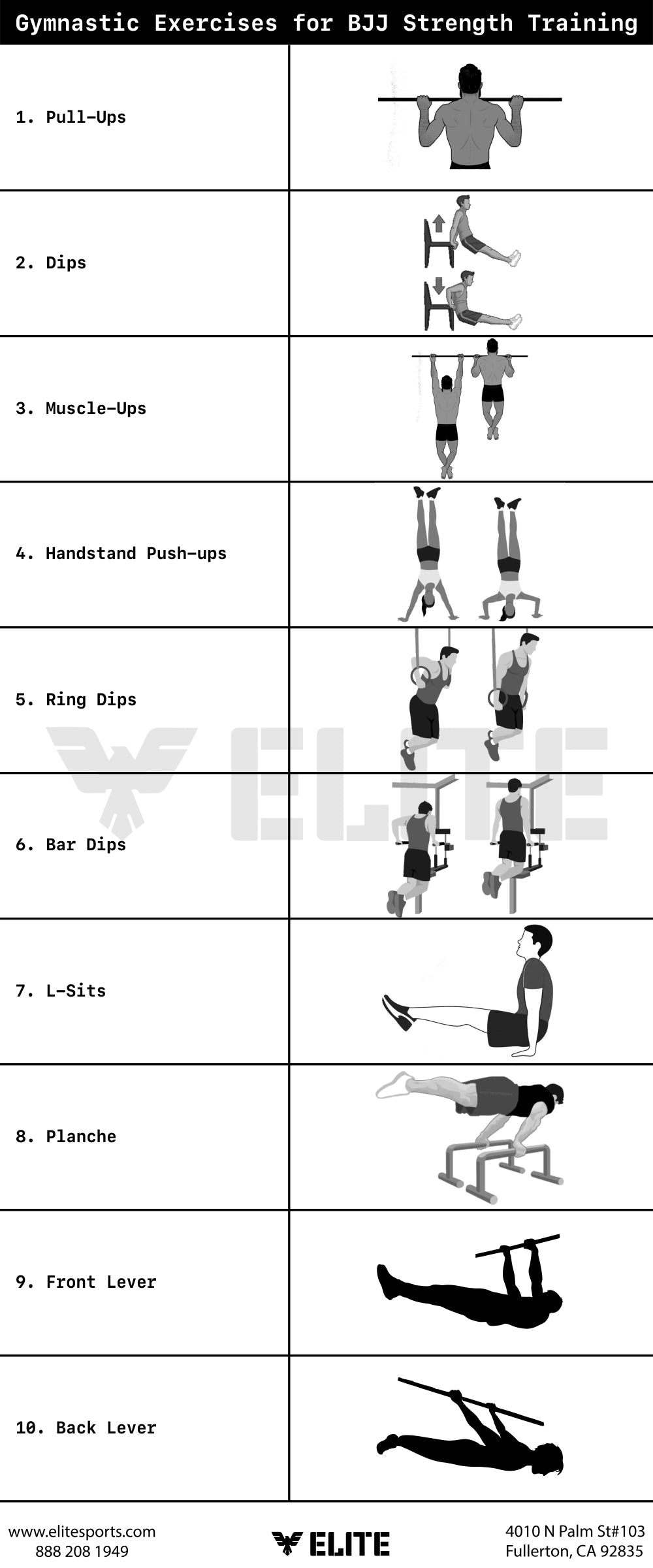 Gymnastic Exercises for BJJ Strength Training