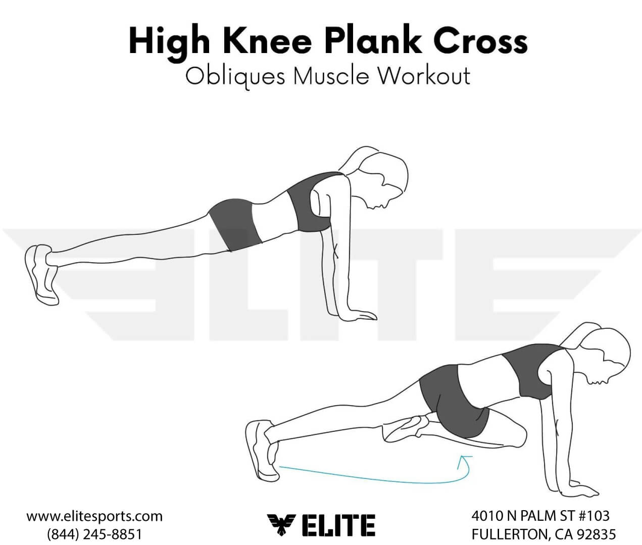 High Knee Plank Cross: Oblique Muscle Exercises