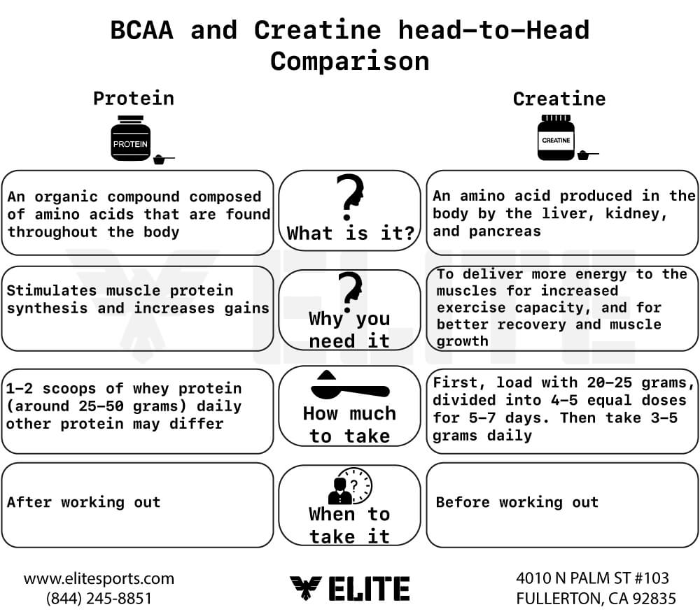How are BCAA and  Creatine different?