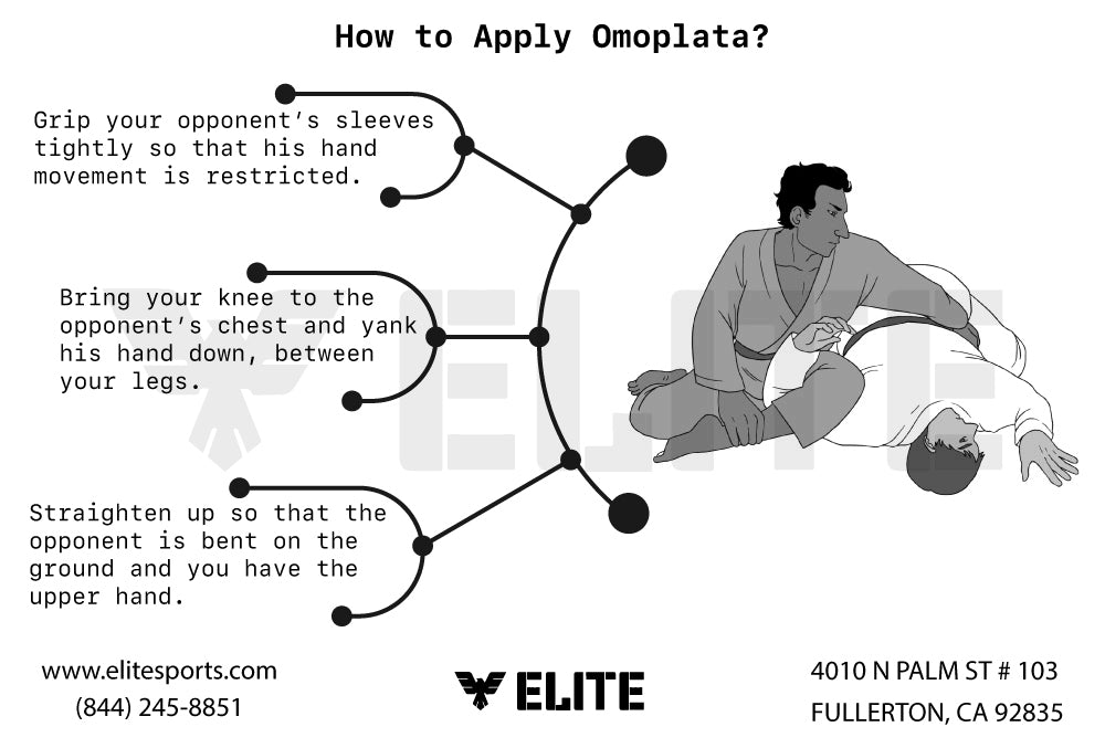 Omoplata - infographic
