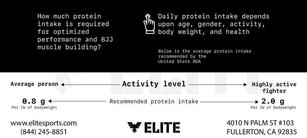 Protein intake for optimized performance and BJJ muscle-building