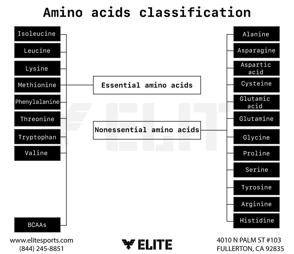 Why Do I Need Supplements for Enhancing Recovery in Jiu-Jitsu and MMA?