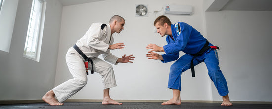 Different Ways To Use Posture In BJJ