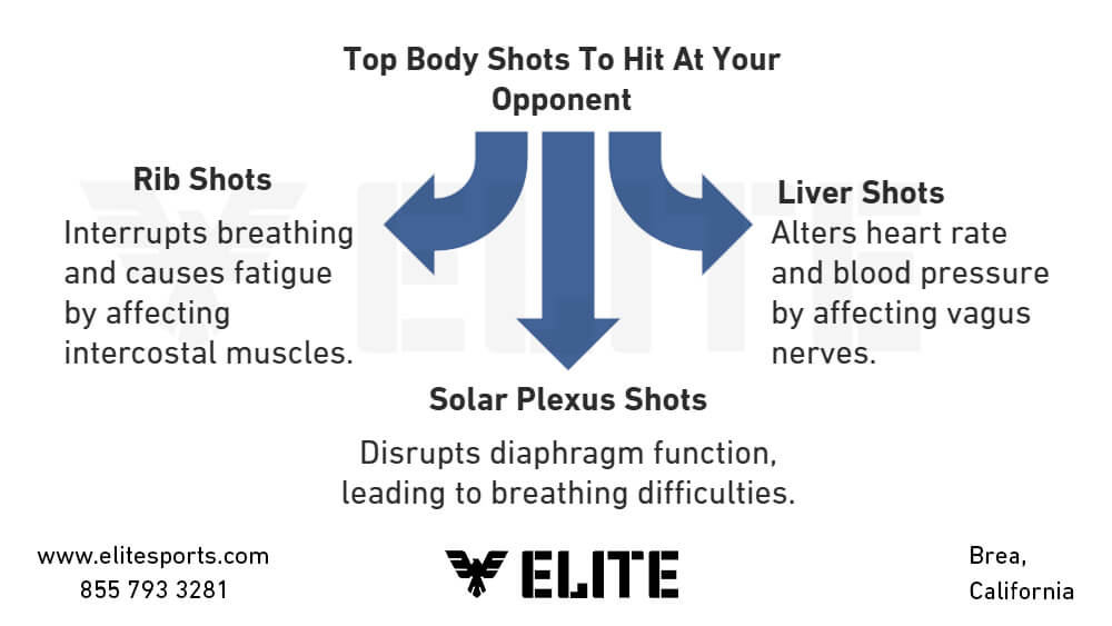 top-body-shots-to-hit-at-your-opponent