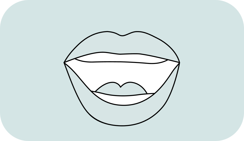 Gum Illustration