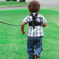 Diono Safety Harness and Reins Sure Steps - ANB Baby
