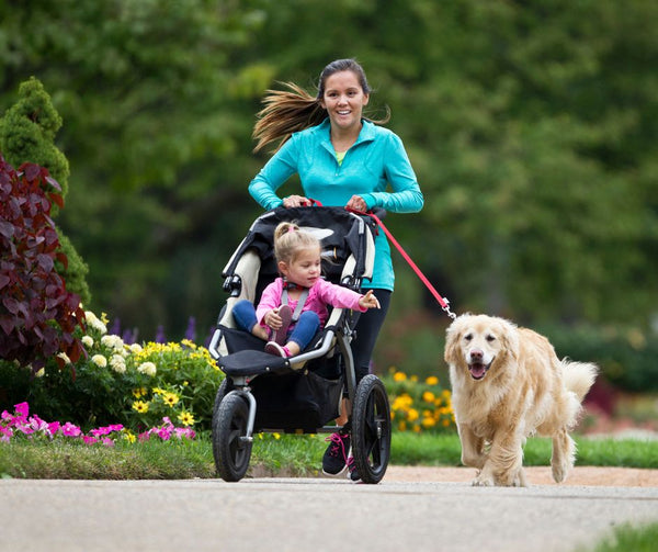 The Best Jogging Strollers: 5 You'll Love From ANB Baby