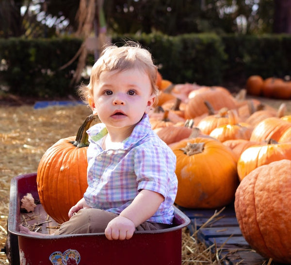 Grab a Wagon! 8 Fun Family Activities to Try This Fall