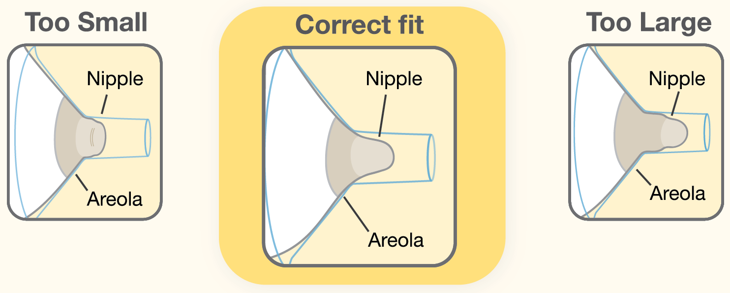 Buy MEDELA Nipple Shield Available 16mm, 20mm and 24mm Sizes -- ANB Baby