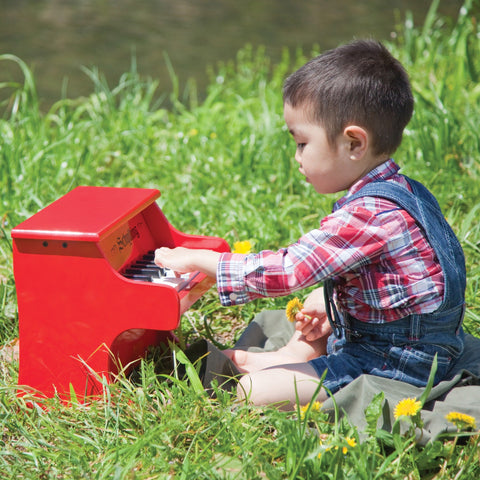 Grass - Schylling Mini Red Piano