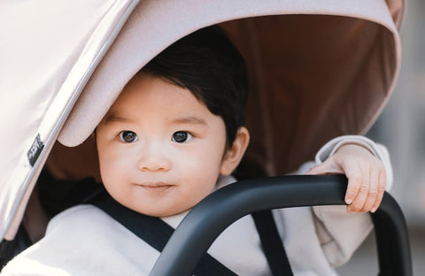 A Baby with Thule Shine City Stroller -ANB Baby