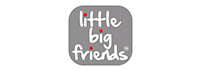 little-big-friends