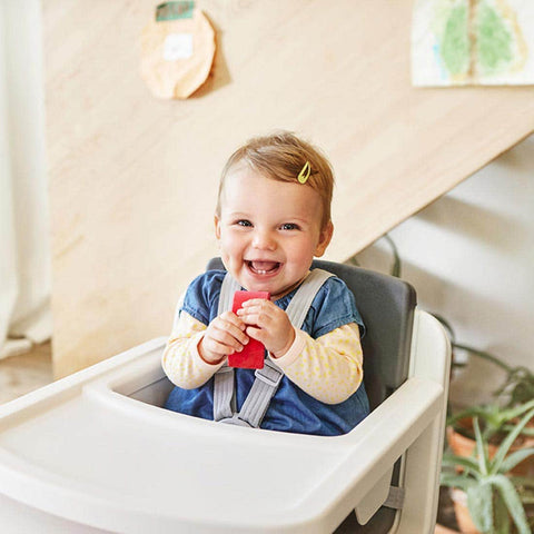 Nuna Zaaz High Chair, -- ANB Baby