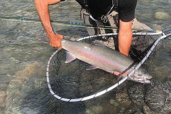 steelhead trout fly fishing catch and release net boga grip