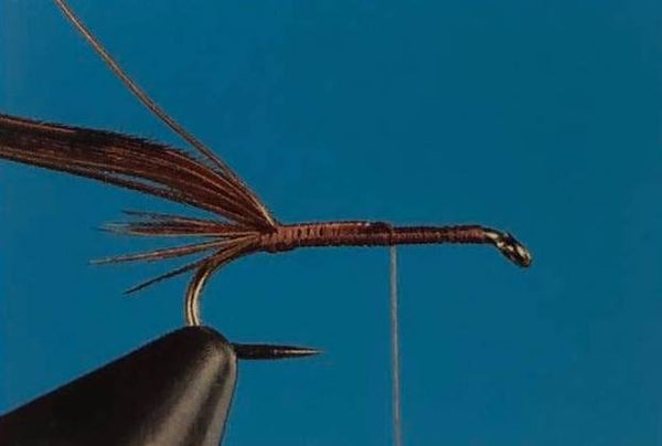 pheasant tail nymph feather barbs fly fishing tying