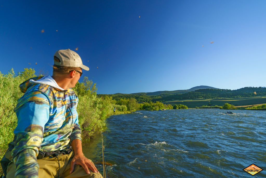 montana fly fishing trout hatch rod madison big sky