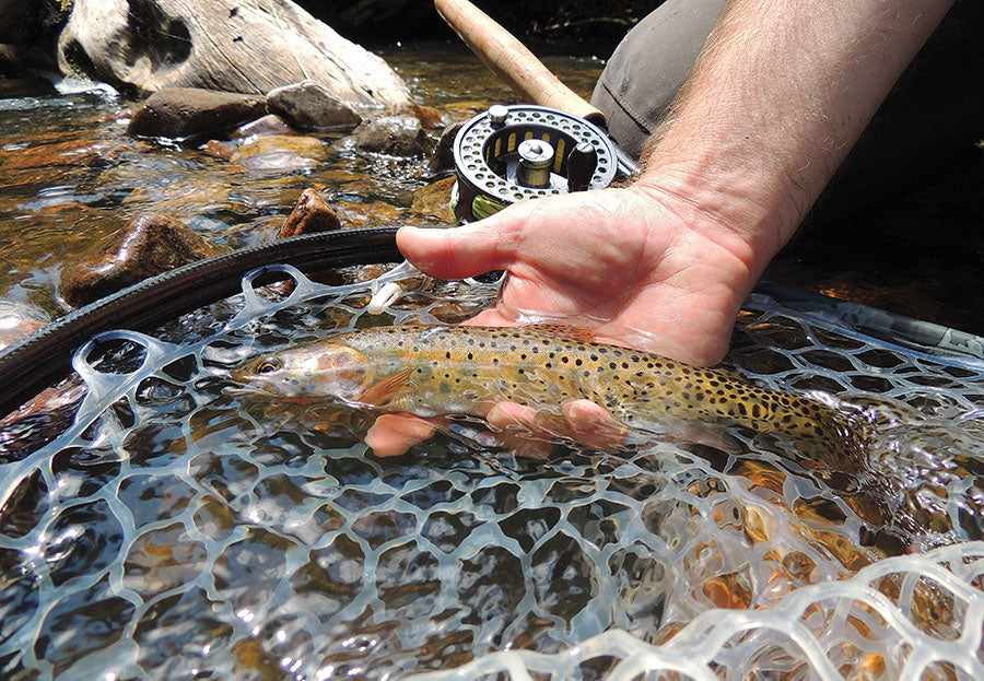 cutthroat fly fishing utah 