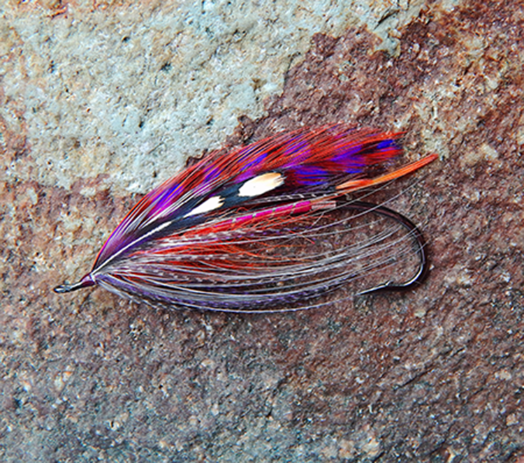 purple prince fly variant