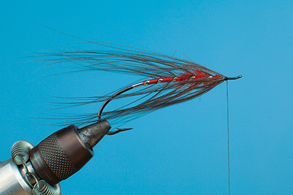 hackle fly tying