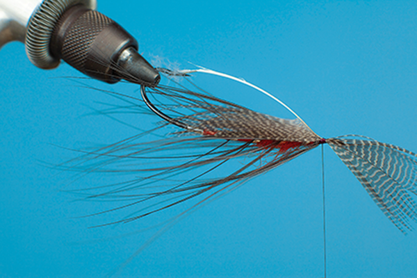 hackle fly tying