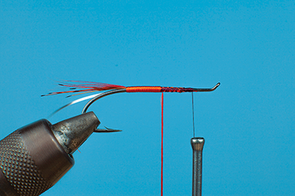 shrimp fly tying