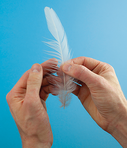 white rooster neck hackle fly tying