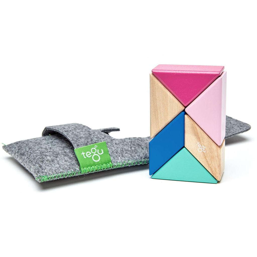 tegu magnetic wooden blocks