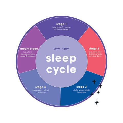 A graphic depicting the different phases of the sleep cycle, including the dream stage.