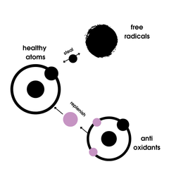 An illustration depicting how melatonin acts as a free radical scavenger, where free radicals steal electrons from health atoms and antioxidants like melatonin replenish the stolen electrons. 