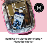 planetbox stainless steel bento