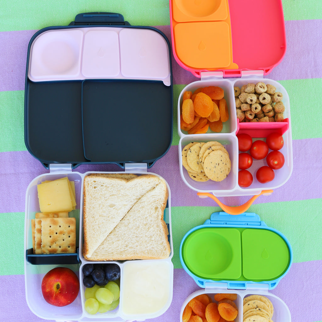 B Box Mini Lunchbox - Indigo Rose – Cool 4 School Kids