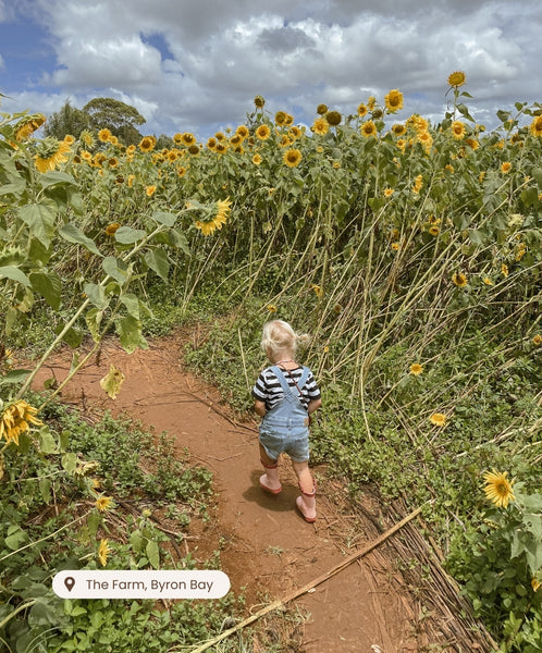 northern_rivers_what_to_do_with_kids_family_friendly_outdoor_activities_ideas_nsw