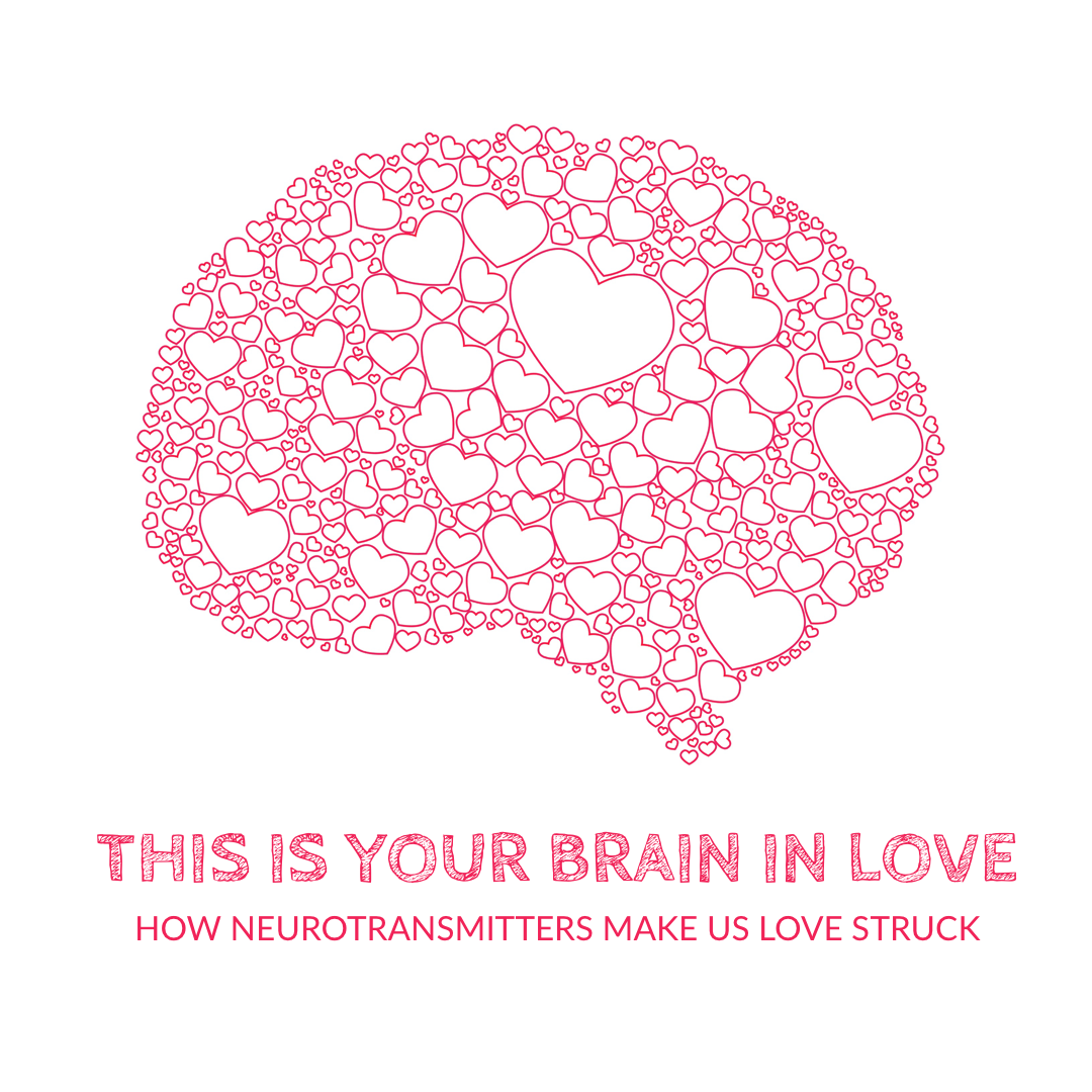 This is your brain in love – builtforyourbrain.com