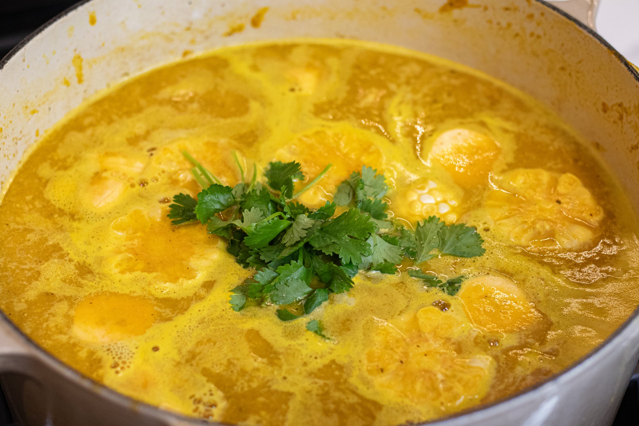 Sancocho with broth and cilantro added on top