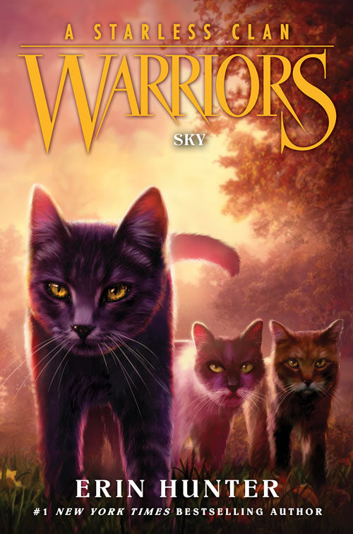 Warriors The Broken Code Lost Stars Book l Official Warrior Cats Store