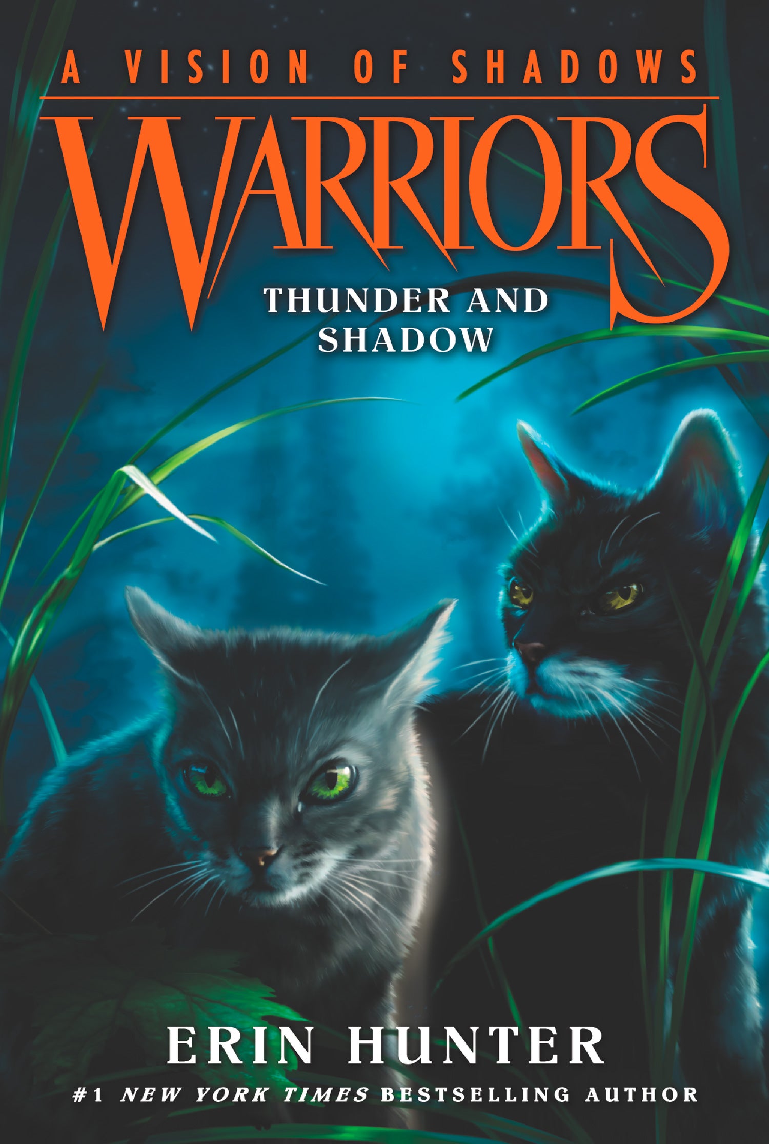 warriors vision of shadows book 3