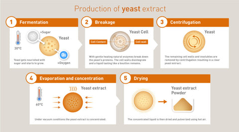 Chart showing production of yeast in 5 steps.