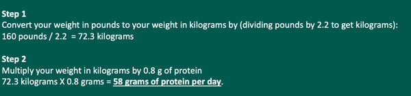 protein calculation