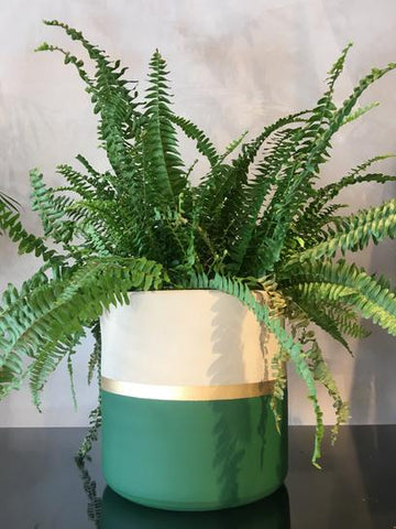 Handmade half green half white plant pot with gold details