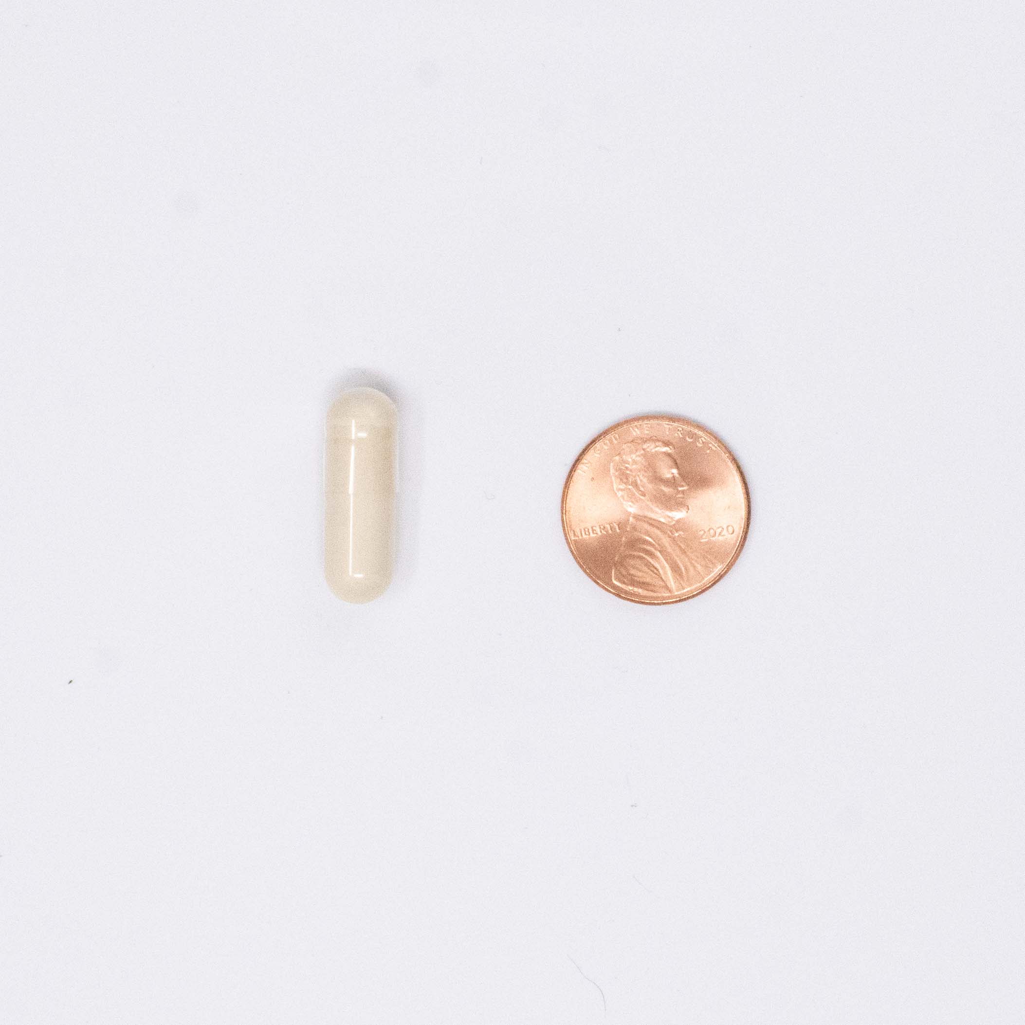 American Ginseng supplement size next to a penny
