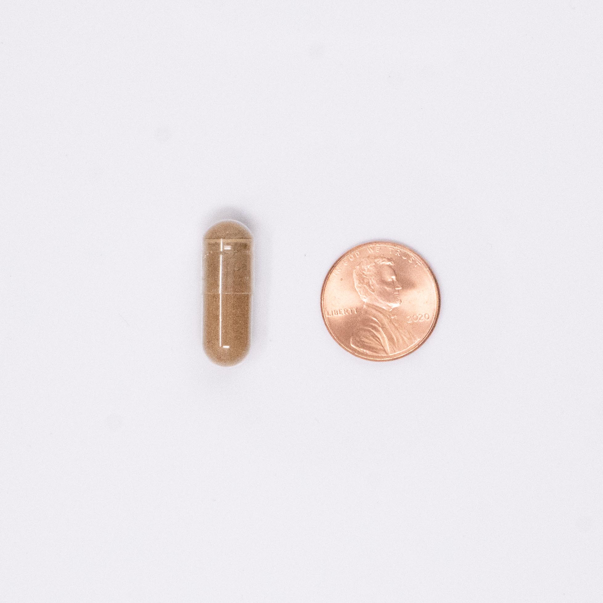 Rhodiola pill size next to a penny