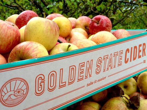 golden-state-cider-sonoma-county-california-travel-guide-travel-agent-apparel