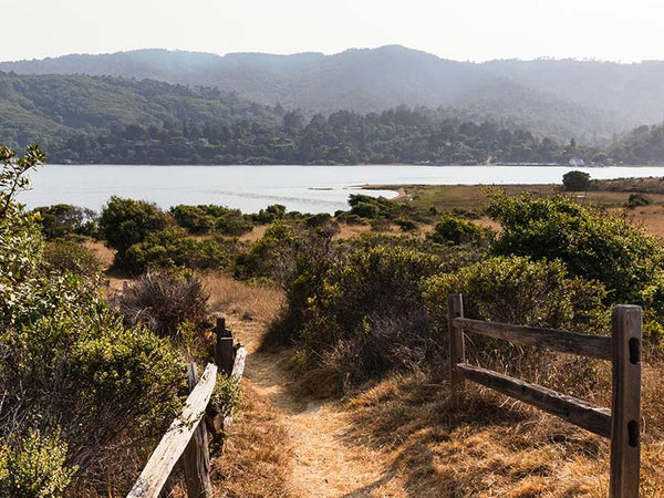 tomales-bay-hiking-outdoors-best-northern-california-trails-marin-county-travel-agent-apparel-2