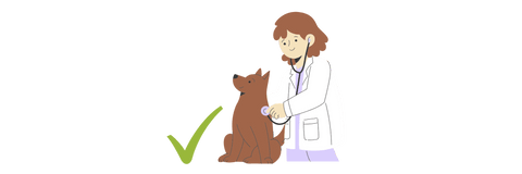 a vet examining a dog with a checkmark