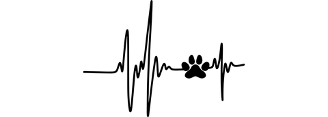 dog heartbeat