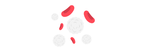 image of white blood cells