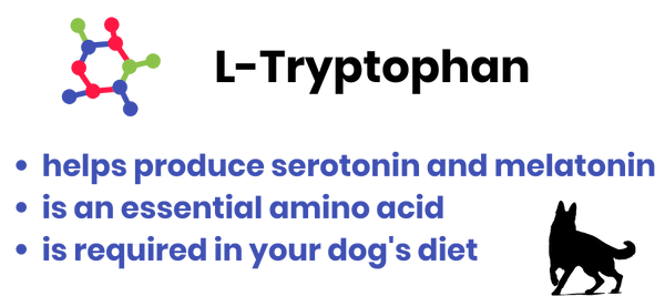 tryptophan is an essential amino acid