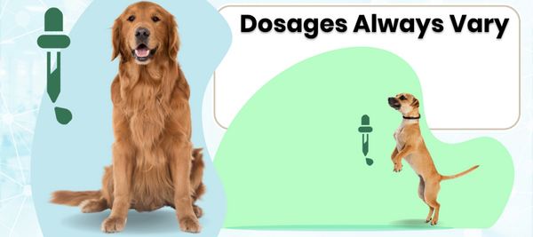 dosages of cbd for dogs always vary